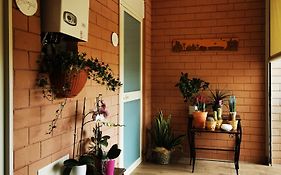 B&B Ameli